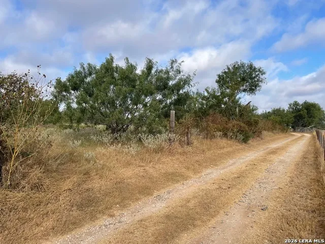 3 ACRES TBD CR 118 Floresville, TX 78114