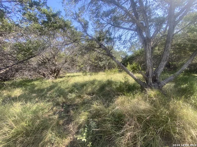 00 JIM DALRYMPLE DR Leakey, TX 78873