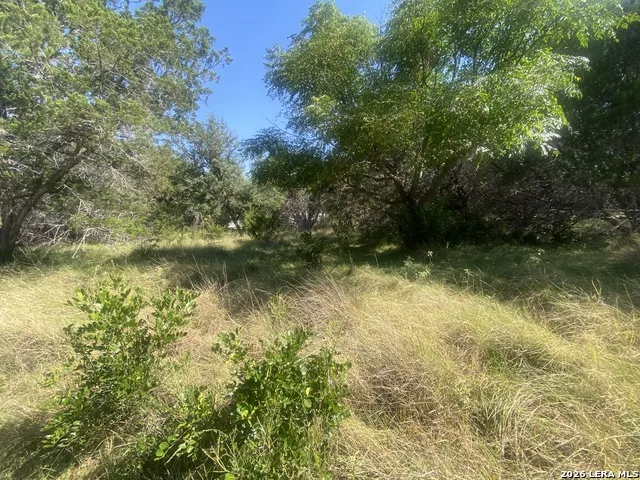 00 JIM DALRYMPLE DR Leakey, TX 78873