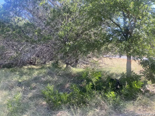 00 JIM DALRYMPLE DR Leakey, TX 78873