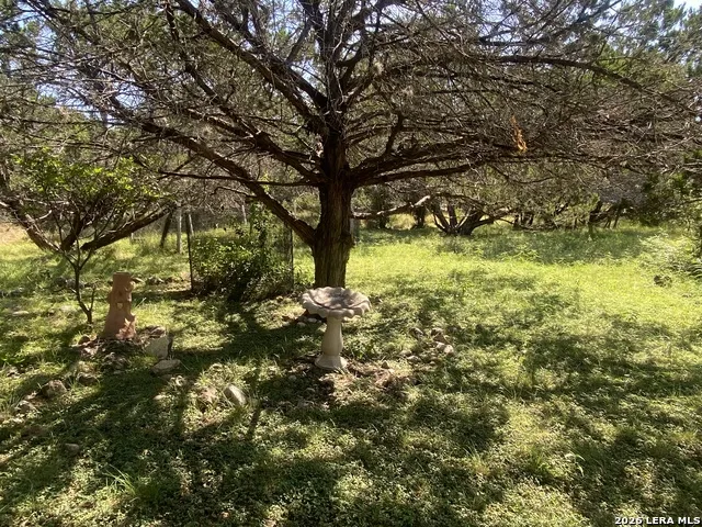 39 JIM DALRYMPLE DR Leakey, TX 78873
