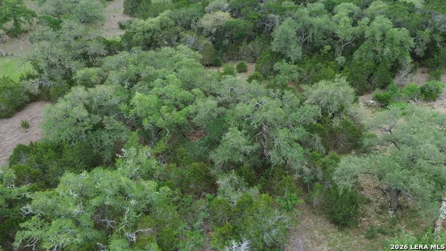 371 Curvatura New Braunfels, TX 78132