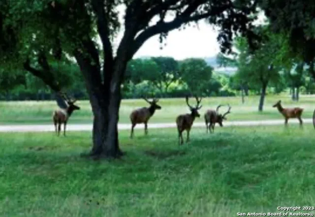 LOT 29 SW Bison Court Pipe Creek, TX 78063
