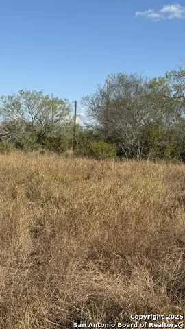 000 CR 170 Alice, TX 78332