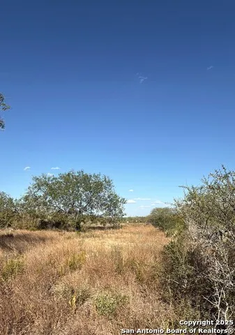 000 CR 170 Alice, TX 78332