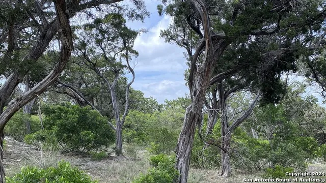 LOT 6 SIDNEY SHORES DR Lakehills, TX 78063