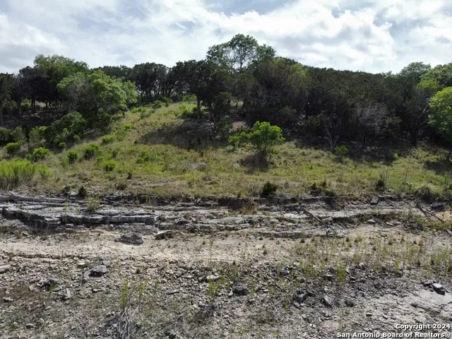 LOT 6 SIDNEY SHORES DR Lakehills, TX 78063