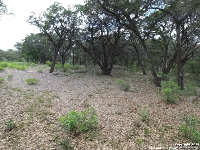 LOT 6 SIDNEY SHORES DR Lakehills, TX 78063