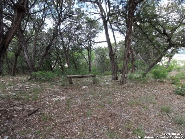 LOT 6 SIDNEY SHORES DR Lakehills, TX 78063
