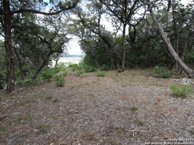 LOT 6 SIDNEY SHORES DR Lakehills, TX 78063