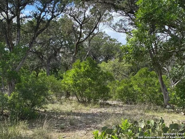 LOT 6 SIDNEY SHORES DR Lakehills, TX 78063