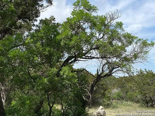 LOT 6 SIDNEY SHORES DR Lakehills, TX 78063