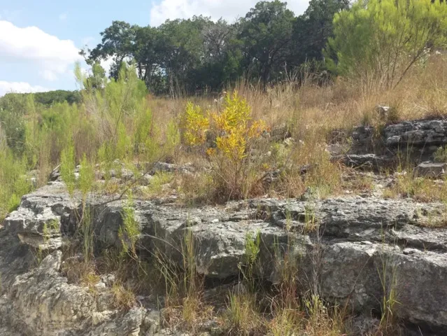 LOT 6 SIDNEY SHORES DR Lakehills, TX 78063