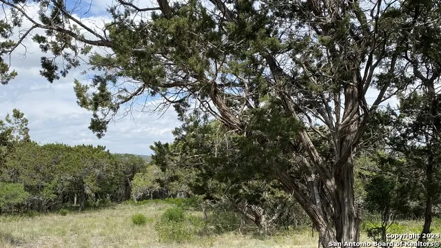 LOT 6 SIDNEY SHORES DR Lakehills, TX 78063