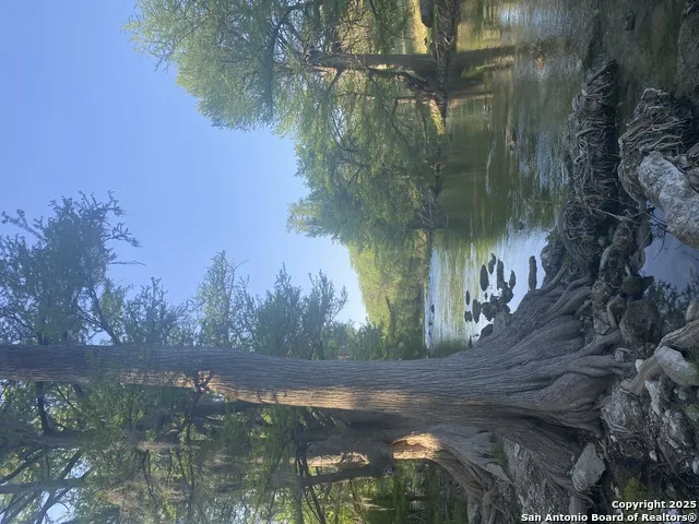 1160 Whispering Water Spring Branch, TX 78070