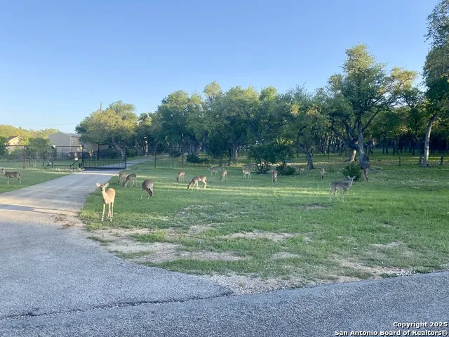 1160 Whispering Water Spring Branch, TX 78070