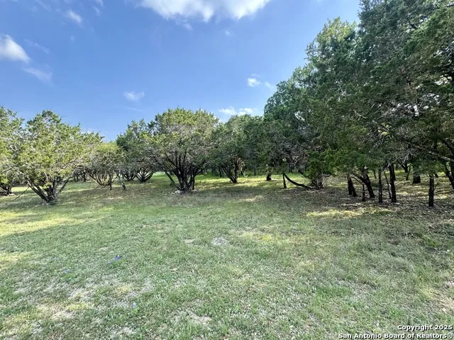 1160 Whispering Water Spring Branch, TX 78070