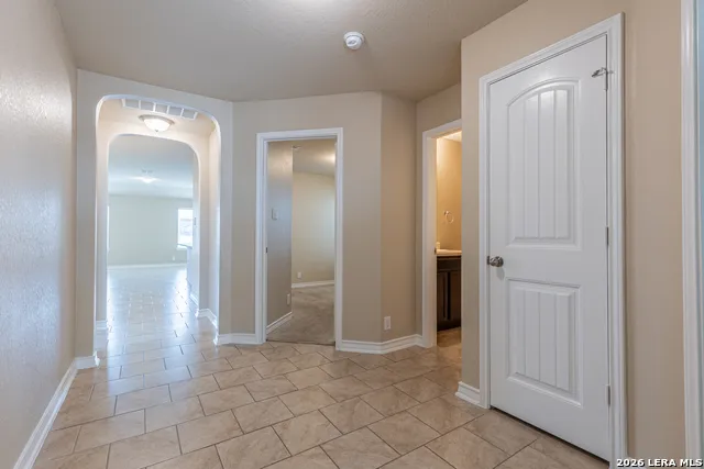 15458 BOBWHITE QUAIL San Antonio, TX 78253