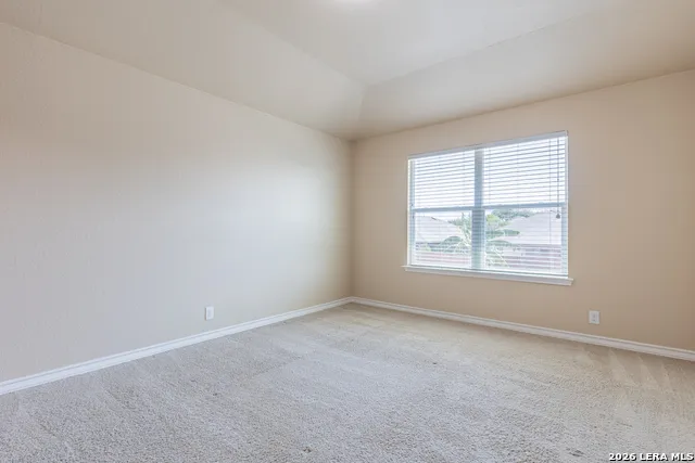 15458 BOBWHITE QUAIL San Antonio, TX 78253