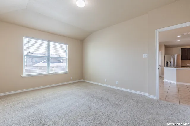 15458 BOBWHITE QUAIL San Antonio, TX 78253