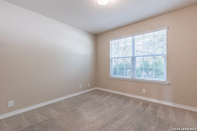 15458 BOBWHITE QUAIL San Antonio, TX 78253