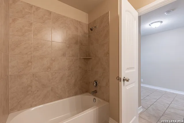 15458 BOBWHITE QUAIL San Antonio, TX 78253