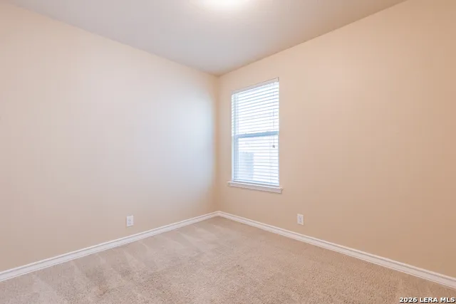 15458 BOBWHITE QUAIL San Antonio, TX 78253