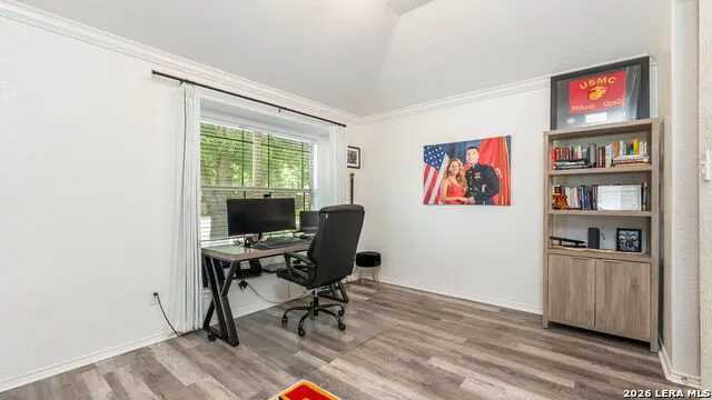 3200 Pencil Cholla Schertz, TX 78154