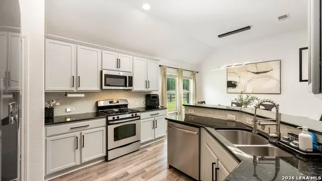 3200 Pencil Cholla Schertz, TX 78154