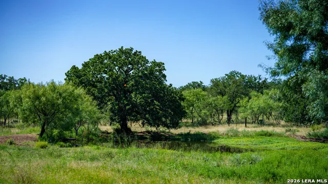9978 hay spring Fredonia, TX 76842