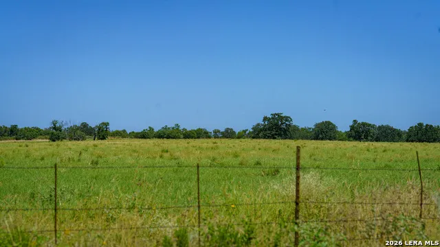 9978 hay spring Fredonia, TX 76842
