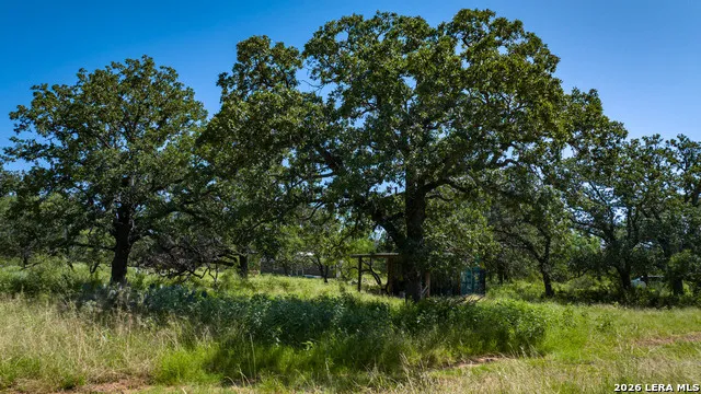 9978 hay spring Fredonia, TX 76842
