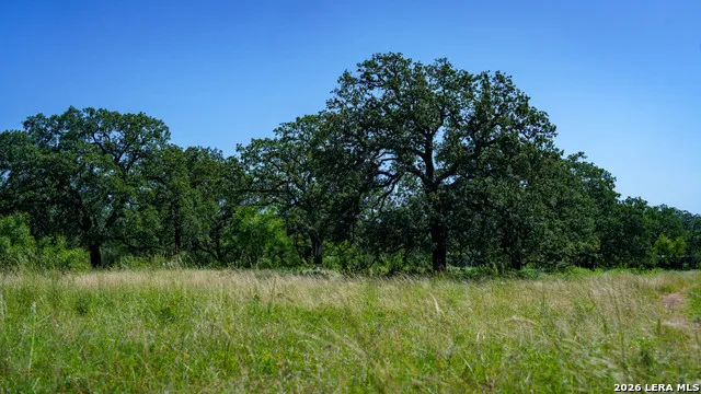 9978 hay spring Fredonia, TX 76842