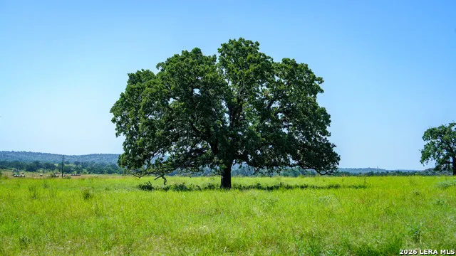 9978 hay spring Fredonia, TX 76842
