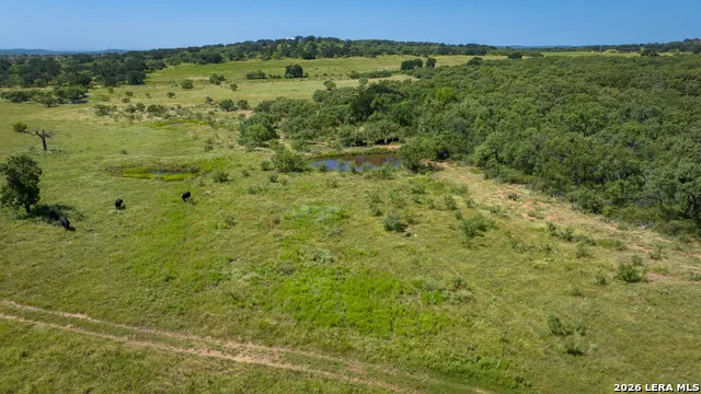 9978 hay spring Fredonia, TX 76842