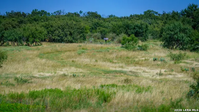 9978 hay spring Fredonia, TX 76842