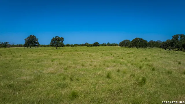 9978 hay spring Fredonia, TX 76842