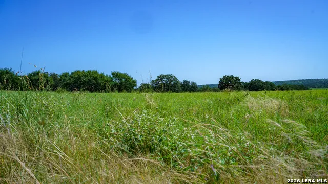 9978 hay spring Fredonia, TX 76842