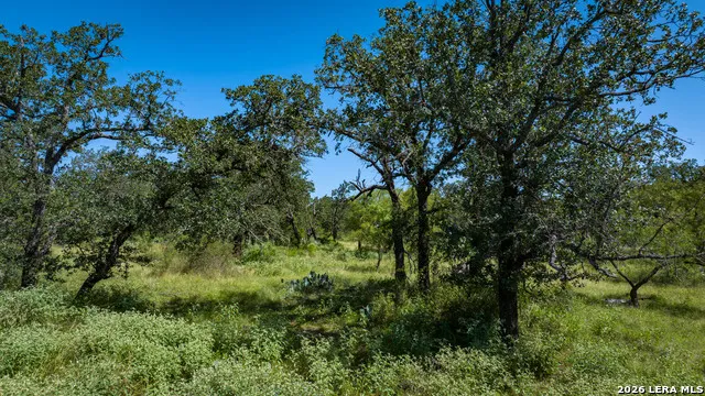 9978 hay spring Fredonia, TX 76842