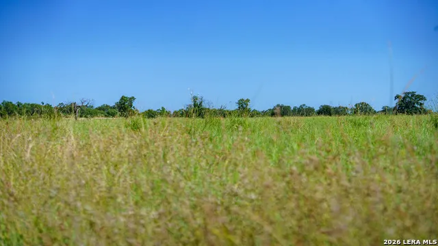 9978 hay spring Fredonia, TX 76842