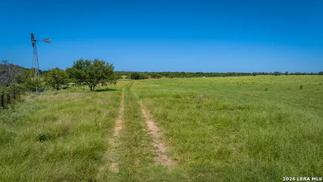 9978 hay spring Fredonia, TX 76842