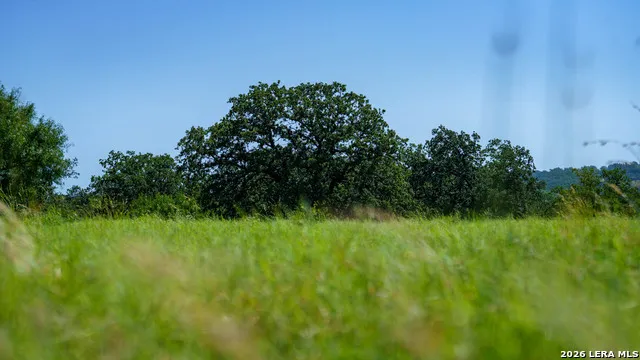 9978 hay spring Fredonia, TX 76842