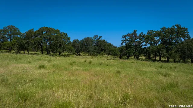 9978 hay spring Fredonia, TX 76842