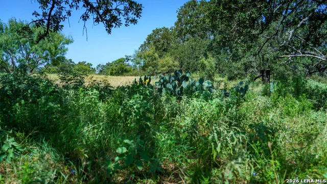 9978 hay spring Fredonia, TX 76842