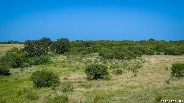 9978 hay spring Fredonia, TX 76842