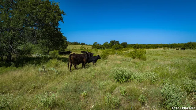 9978 hay spring Fredonia, TX 76842
