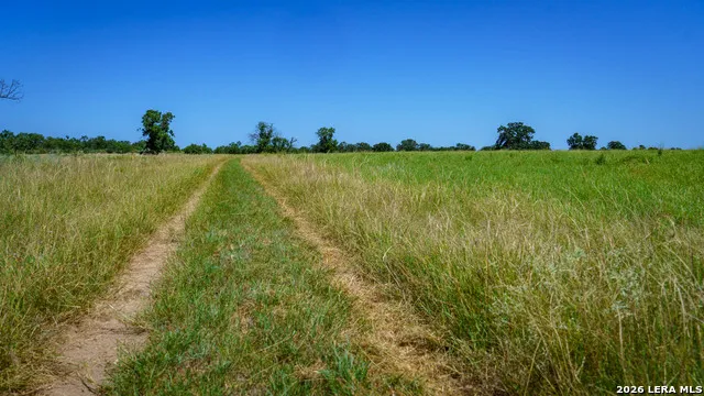 9978 hay spring Fredonia, TX 76842