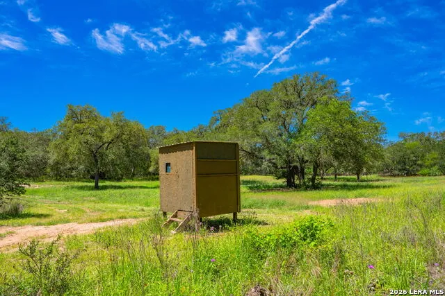 3355 Jim Brite Rd Pleasanton, TX 78064