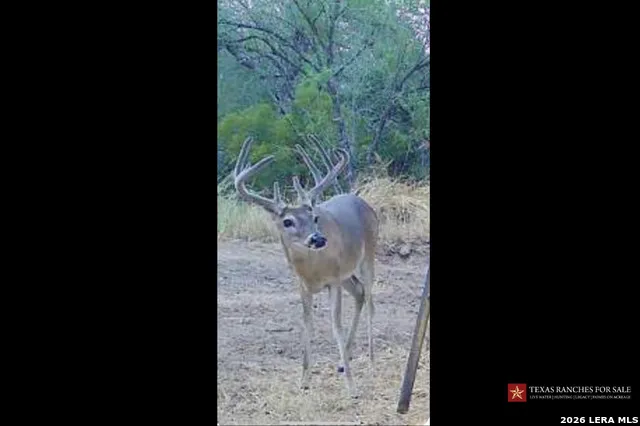 3355 Jim Brite Rd Pleasanton, TX 78064
