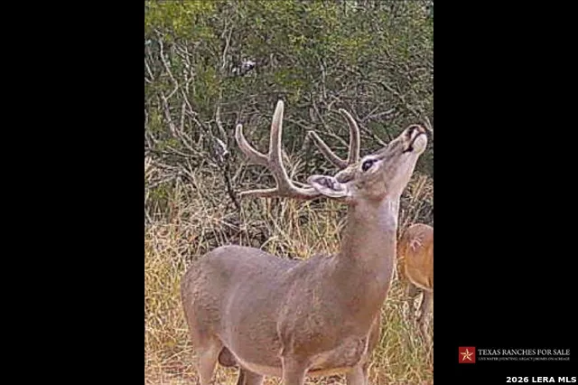 3355 Jim Brite Rd Pleasanton, TX 78064